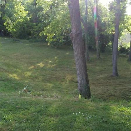 Bed And Breakfast Sile E Natura Sant'Elena di Silea Exterior photo