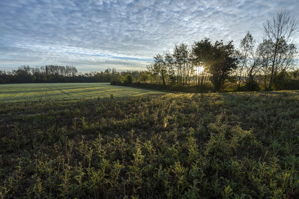 Bed And Breakfast Sile E Natura Sant'Elena di Silea Exterior photo